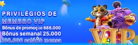 8096Brl